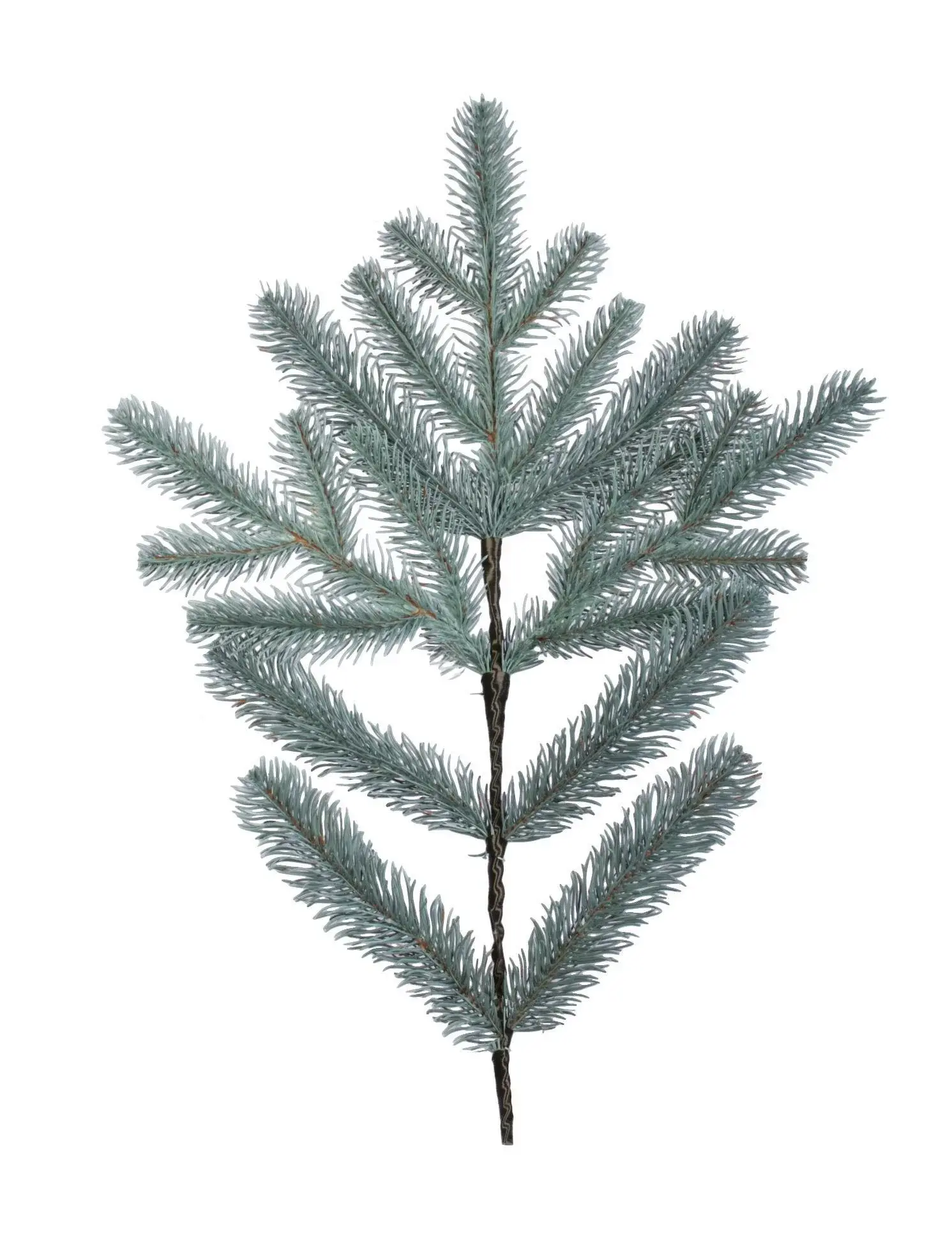 alpgol02
