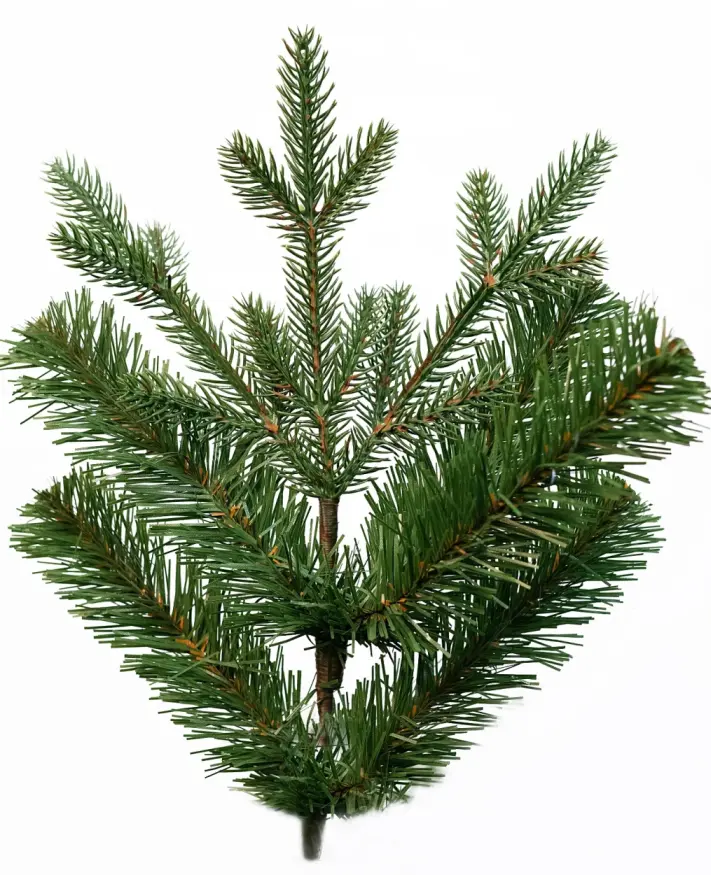 Skandina02